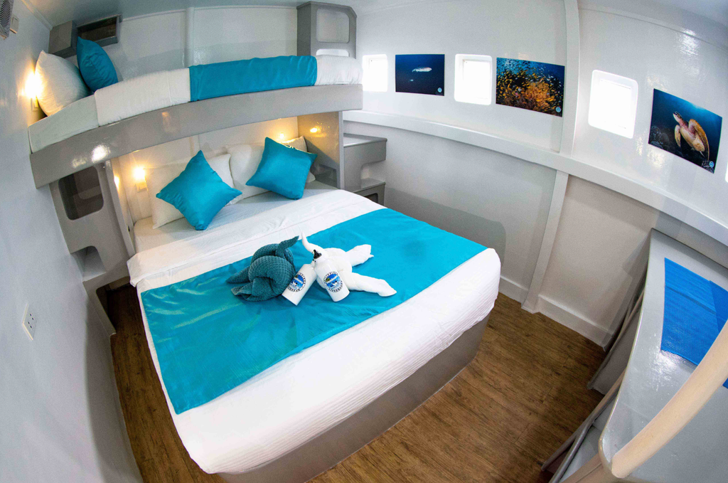 standard cabine